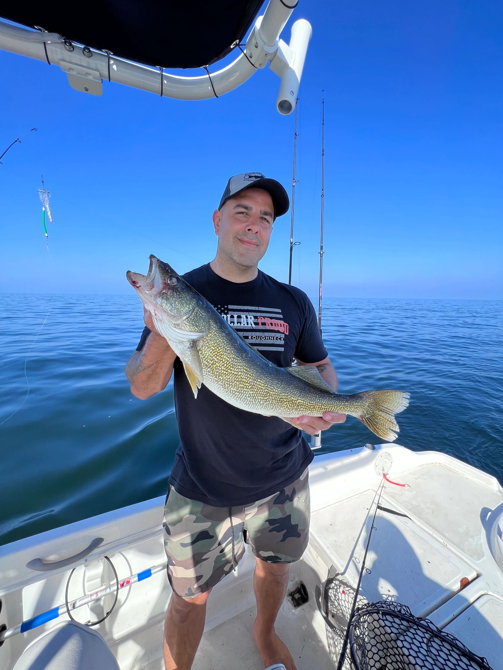 Walleye catch on Lake Erie